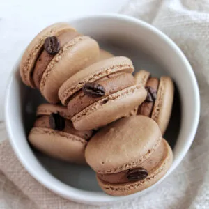 Best French Macarons Shells